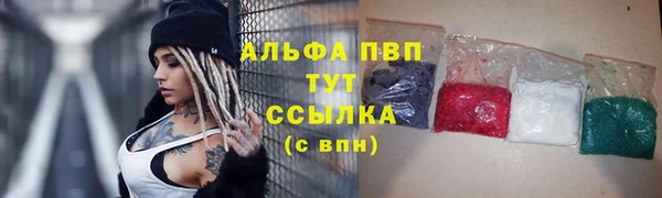 метадон Ельня