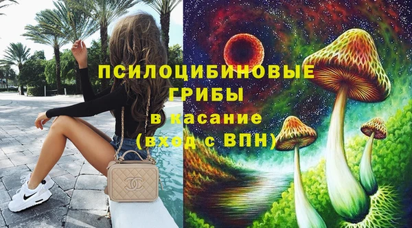 дмт Елизово