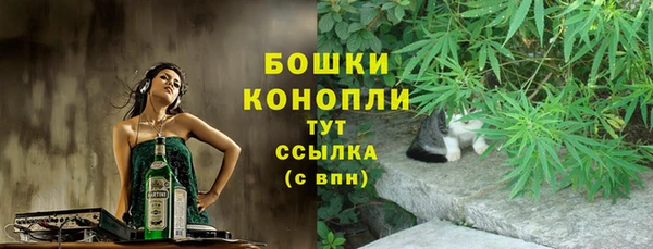 метадон Ельня