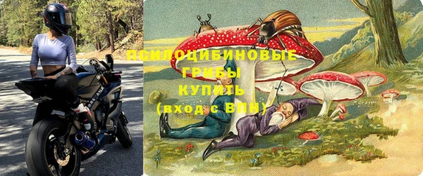 винт Елабуга
