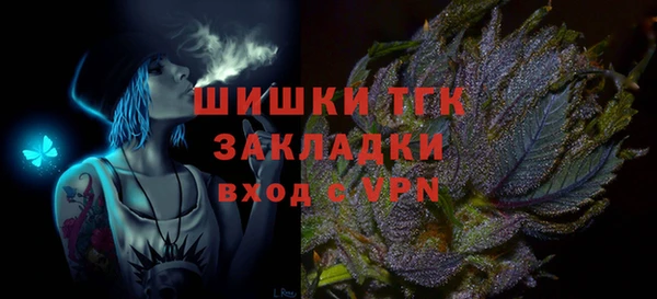 дмт Елизово