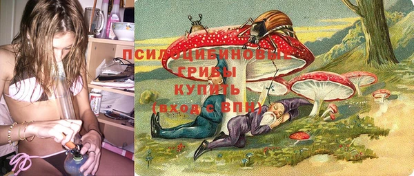 винт Елабуга