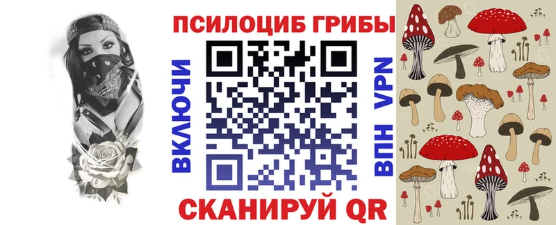 Псилоцибиновые грибы Psilocybe  Волгодонск 