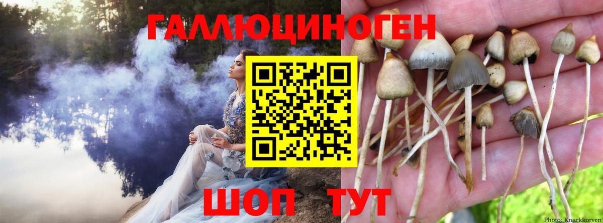 Волгодонск  Галлюциногенные грибы Psilocybe  Вход с VPN  Галлюциногенные грибы Psilocybe 
